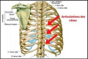 Point dans le dos qui empêche de respirer • Etiopathe Paris ...