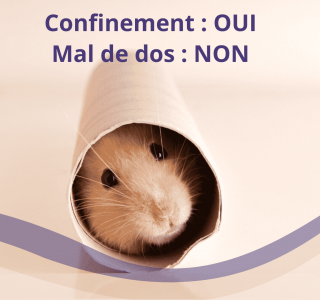 confinement et mal de dos etiopathe paris montrouge